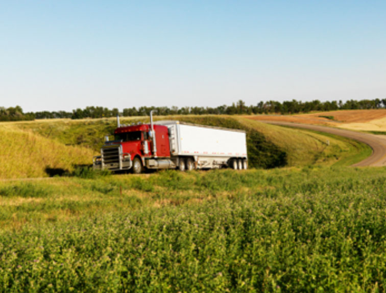 Pictured is a semi truck driving through fields