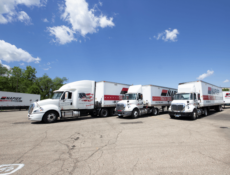 Image of white trucks parked in a row